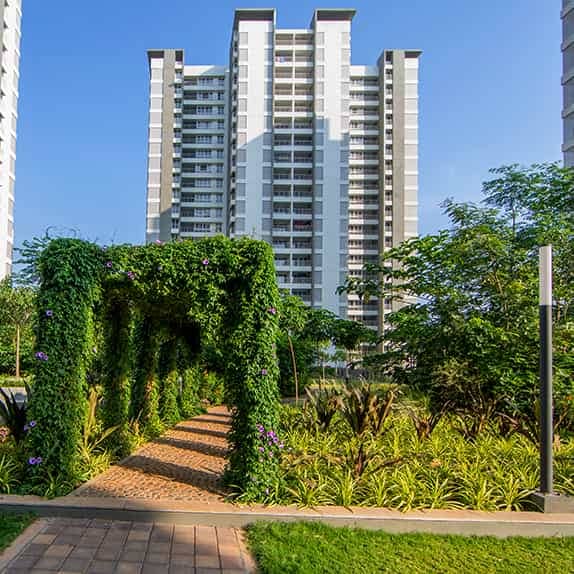 Alembic Urban Forest